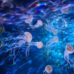 Natuurmuseum Fryslân - Leeuwarden