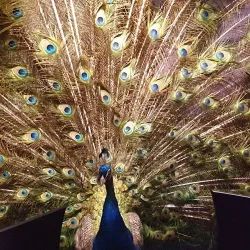 Natuurmuseum Fryslân - Leeuwarden