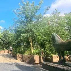 Waagplein - Leeuwarden