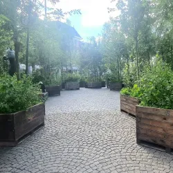 Waagplein - Leeuwarden