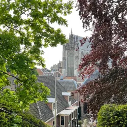 Burcht van Leiden (Leiden Castle) - Leiden