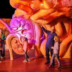 Corpus Museum - Leiden