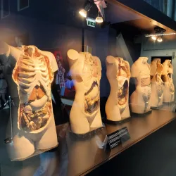 Corpus Museum - Leiden