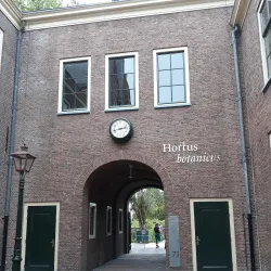 Leiden University - Leiden