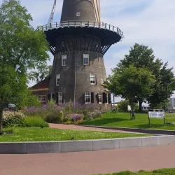 Molen de Valk (The Falcon Windmill) - Leiden