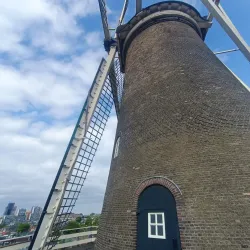 Molen de Valk (The Falcon Windmill) - Leiden