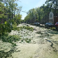 De Paardenmarkt - Leidschendam