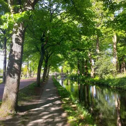 Rijswijkse Bos - Leidschendam