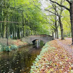 Rijswijkse Bos - Leidschendam