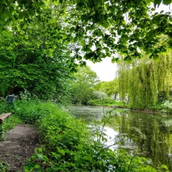 Rijswijkse Bos - Leidschendam