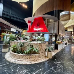 Shopping Center Leidsenhage - Leidschendam