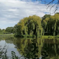 Van Tuyllpark - Leidschendam