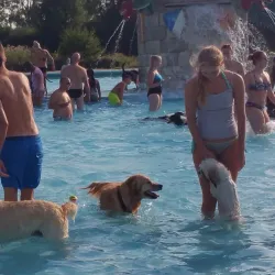 Van Tuyllpark - Leidschendam