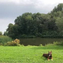 Van Tuyllpark - Leidschendam