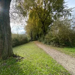 Van Tuyllpark - Leidschendam
