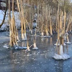 Van Tuyllpark - Leidschendam