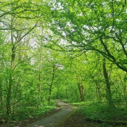 Westerpark - Leidschendam