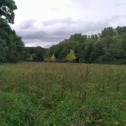 Westerpark - Leidschendam