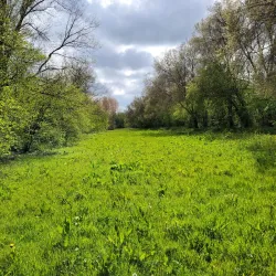 Westerpark - Leidschendam