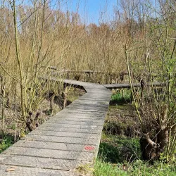 Westerpark - Leidschendam