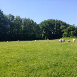 Westerpark - Leidschendam