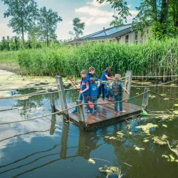 De Kemphaan Nature and Recreation Area - Lelystad