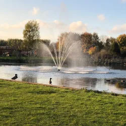 De Kemphaan Nature and Recreation Area - Lelystad