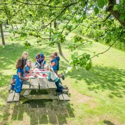 De Kemphaan Nature and Recreation Area - Lelystad