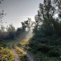 Oostvaardersplassen Nature Reserve - Lelystad