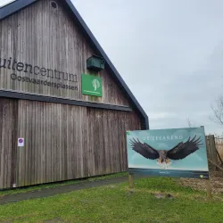 Oostvaardersplassen Nature Reserve - Lelystad