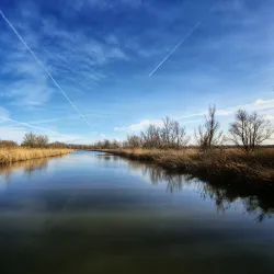 Oostvaardersplassen Nature Reserve - Lelystad