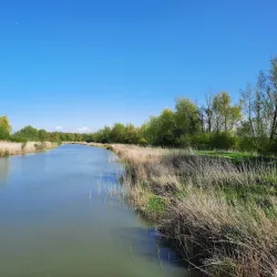 Oostvaardersplassen Nature Reserve - Lelystad