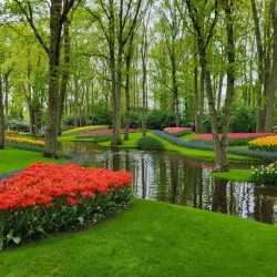Keukenhof Gardens - Lisse