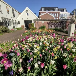 Museum De Zwarte Tulp - Lisse