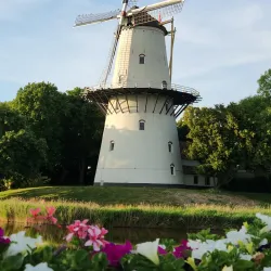 Molen de Hoop (The Hope Mill) - Middelburg