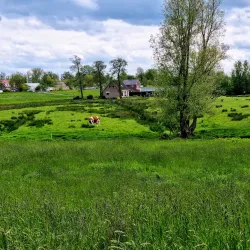 Botshol Nature Reserve - Mijdrecht