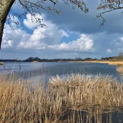 Botshol Nature Reserve - Mijdrecht