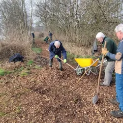 Botshol Nature Reserve - Mijdrecht