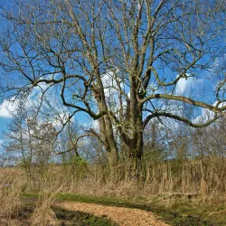 Botshol Nature Reserve - Mijdrecht