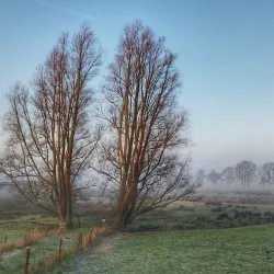 Botshol Nature Reserve - Mijdrecht
