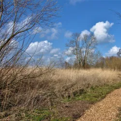 Botshol Nature Reserve - Mijdrecht