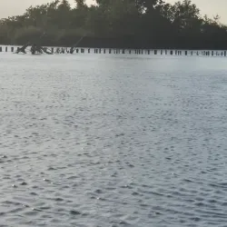 Botshol Nature Reserve - Mijdrecht