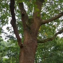 De Meijert Park - Mijdrecht