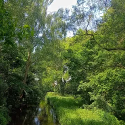 De Meijert Park - Mijdrecht