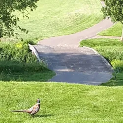 De Venen Golf & Country Club - Mijdrecht