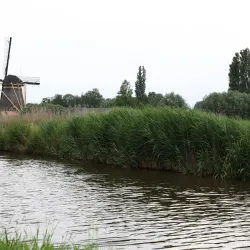 De Wilnisse Molen - Mijdrecht
