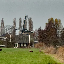 De Wilnisse Molen - Mijdrecht