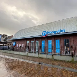 Mijdrecht Market - Mijdrecht