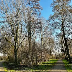 IJsselpark - Nieuwerkerk aan den IJssel