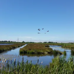 Nature Reserve De Groenzoom - Nieuwerkerk aan den IJssel